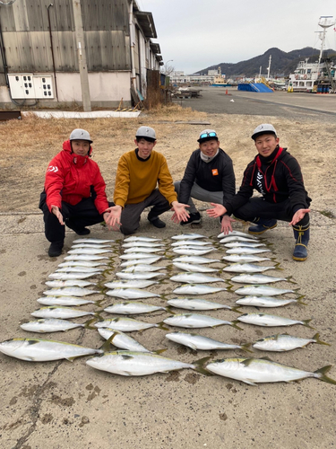 ハマチの釣果