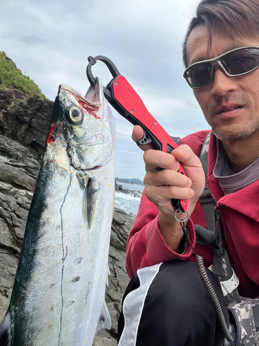 イケカツオの釣果