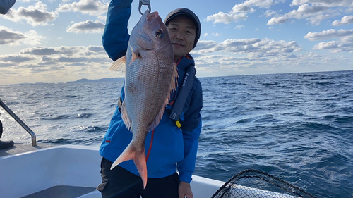 マダイの釣果