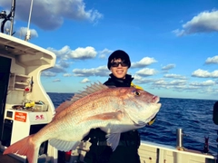 マダイの釣果