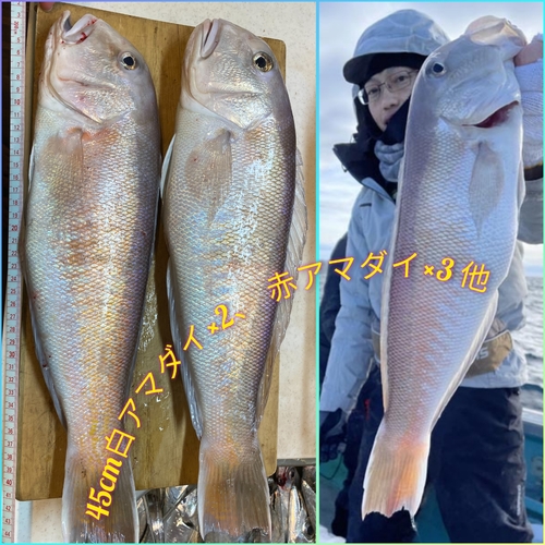 シロアマダイの釣果