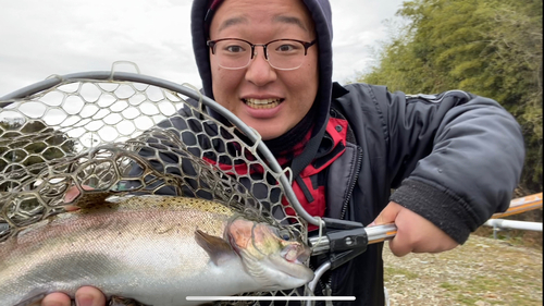 ヤシオマスの釣果