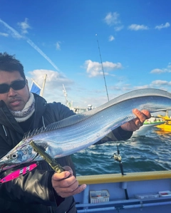 タチウオの釣果