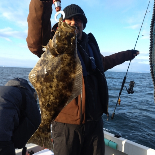 ヒラメの釣果