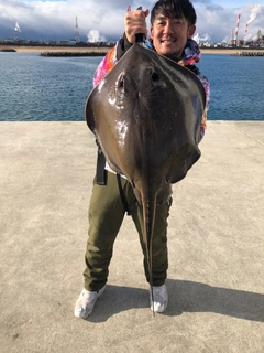 アカエイの釣果