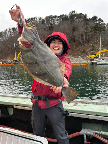 ヒラメの釣果