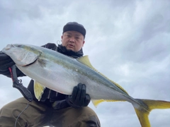 ブリの釣果