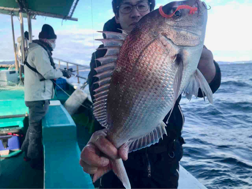 マダイの釣果