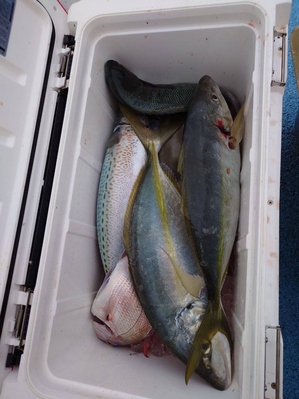 変態釣師連合　ヒデユキさんの釣果 2枚目の画像