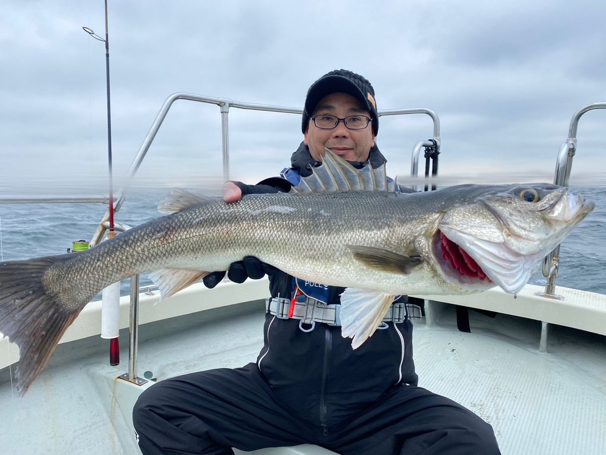 ショア専用アングラーさんの釣果 2枚目の画像