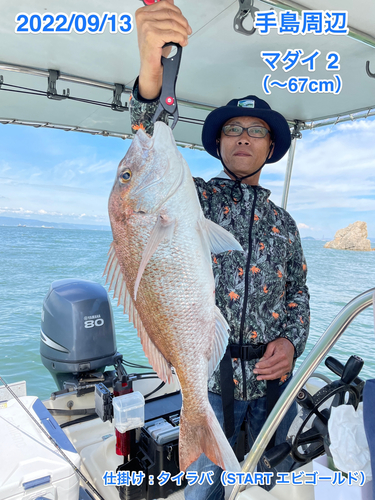 マダイの釣果