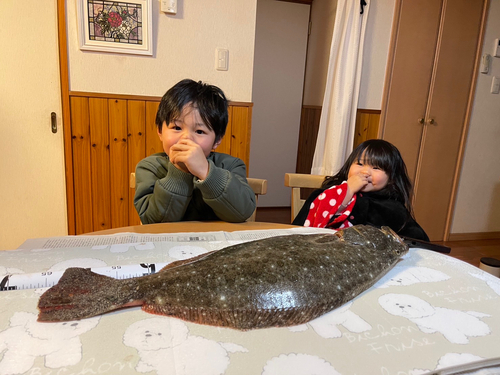 ヒラメの釣果