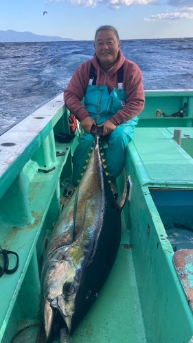 キハダマグロの釣果