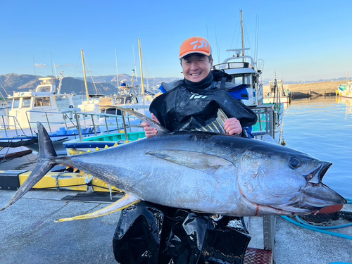 キハダマグロの釣果