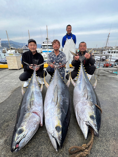 キハダマグロの釣果