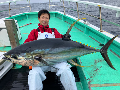 キハダマグロの釣果