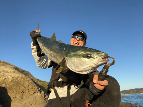 ヤズの釣果