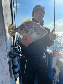 カワハギの釣果