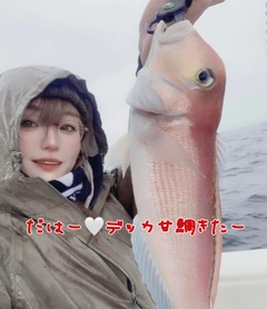 アマダイの釣果