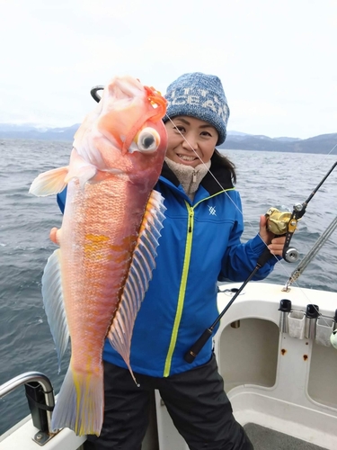 アマダイの釣果