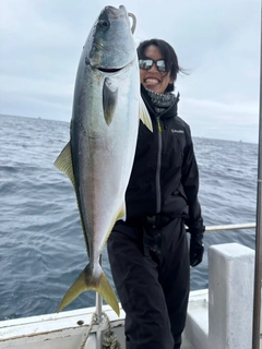 メジロの釣果