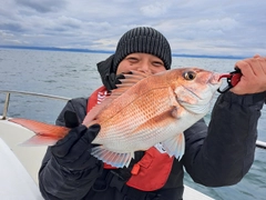 マダイの釣果