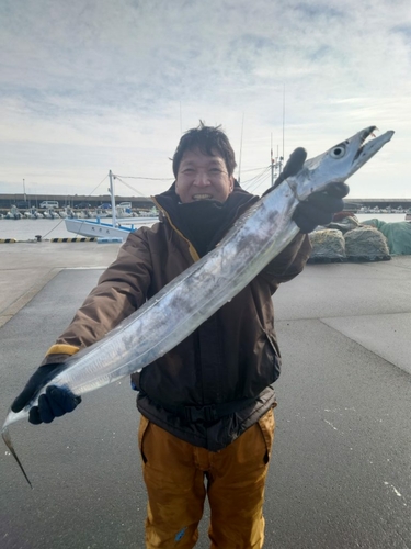 タチウオの釣果