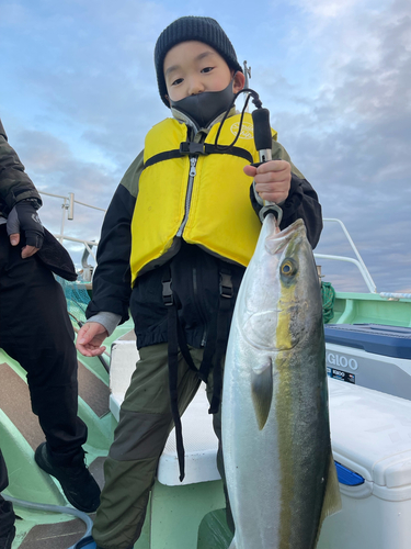 ハマチの釣果