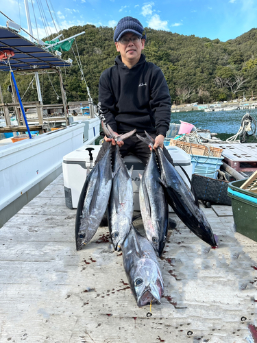 ビンチョウマグロの釣果