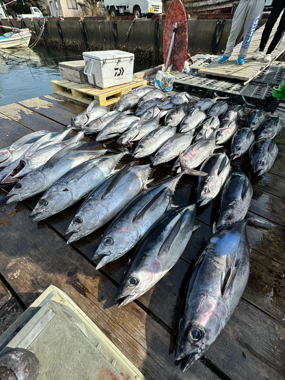 fishing.kenjiさんの釣果 2枚目の画像