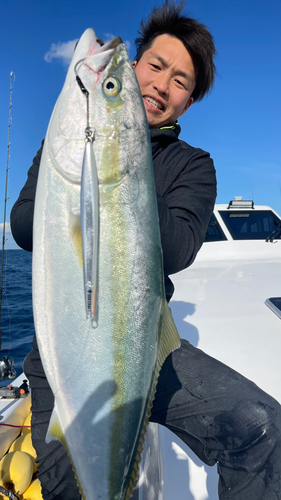 ブリの釣果