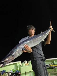 カマスサワラの釣果