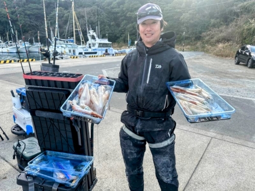 ヤリイカの釣果