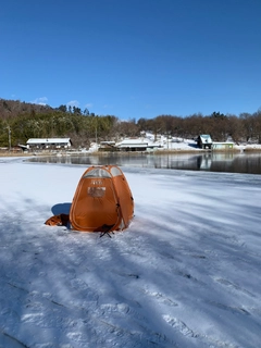 ワカサギの釣果