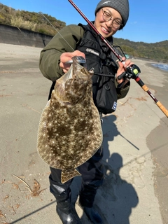 ヒラメの釣果