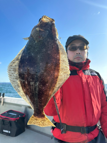 ヒラメの釣果