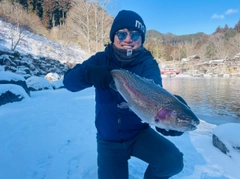 レインボートラウトの釣果