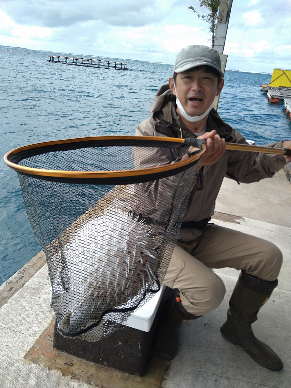 ハリセンボン