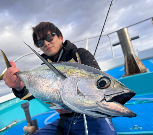 キハダマグロの釣果