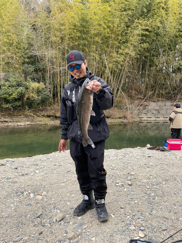 ニジマスの釣果