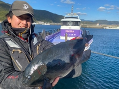 クチブトグレの釣果