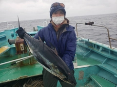 ビンチョウマグロの釣果