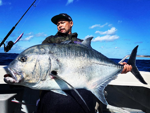 ロウニンアジの釣果