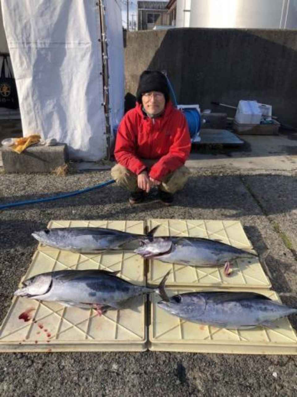 リリースサイズさんの釣果 3枚目の画像