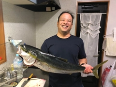 ヒラマサの釣果