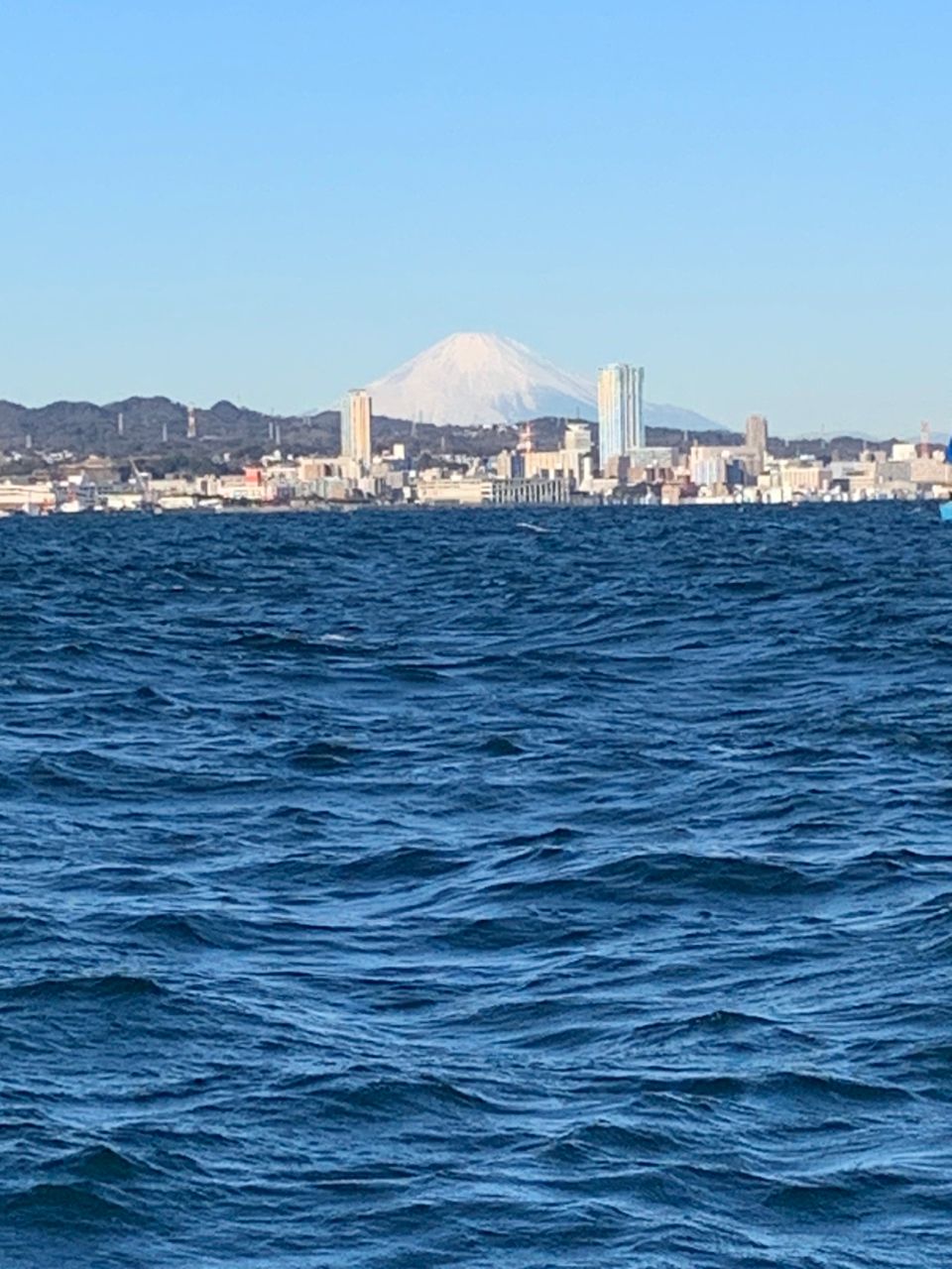 ふじFujiさんの釣果 2枚目の画像