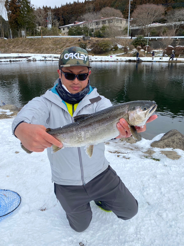 サクラマスの釣果