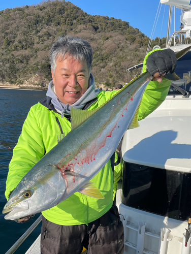 ブリの釣果