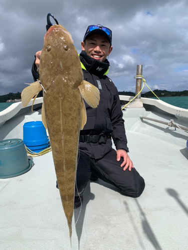 ミナミマゴチの釣果