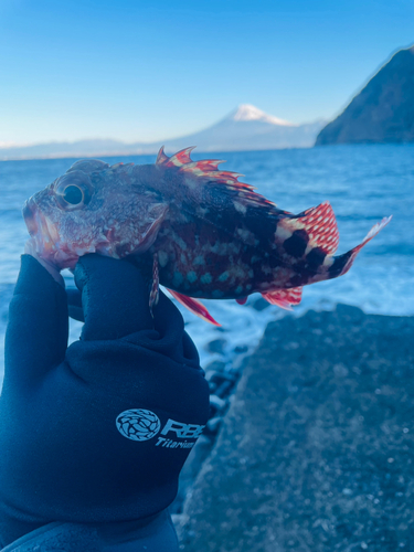 釣果